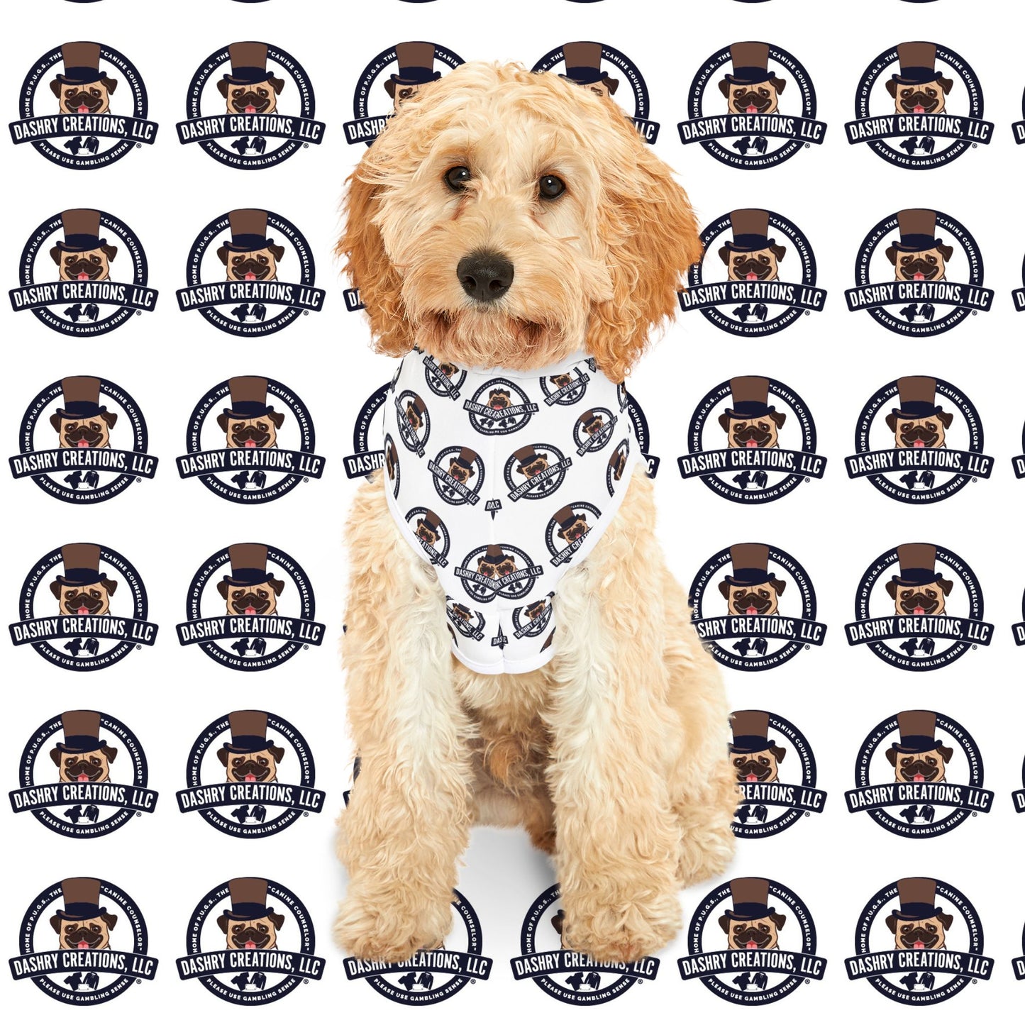 Dashry Creations Pet Hoodie