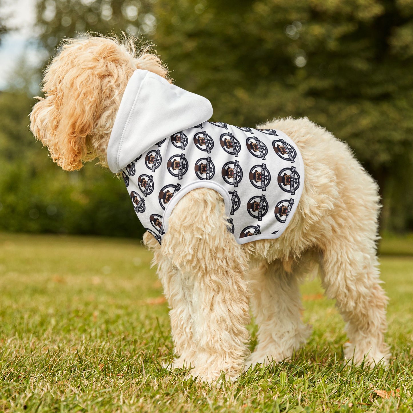 Dashry Creations Pet Hoodie