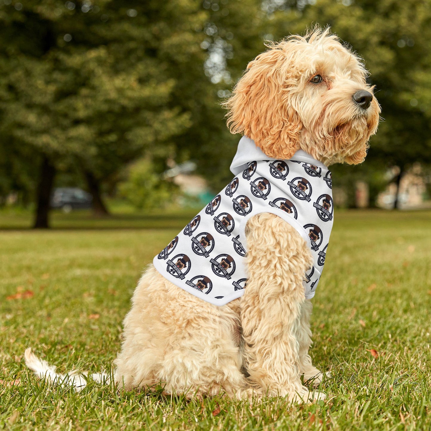 Dashry Creations Pet Hoodie